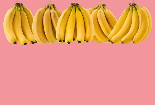 A lot of ripe banana bunch  with space for text on a roses background. The concept of healthy food