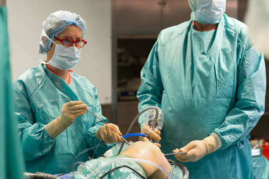 LIGAMENT SURGERY