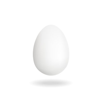 Chicken white single egg.