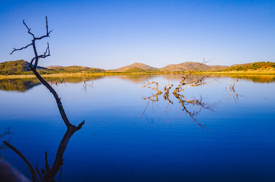 Scene From Pilanesberg