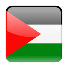 Palestine Flag Vector Square Icon
