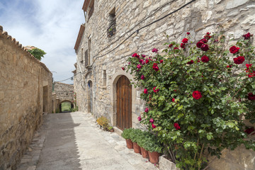  Street village view, house wall flowered in medieval village of Guimera, province Lleida, Catalonia.Spain.