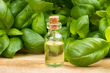 A bottle of basil essential oil with fresh basil leaves