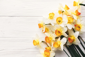 Obraz na płótnie Canvas beautiful fresh daffodils on white wooden background top view. hello spring image with bright yellow flowers on rustic wood with space for text, flat lay. floral greeting card