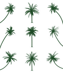 Green palm trees