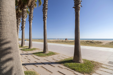 Maritime promenade, beach and palm tree in Catelldefels, province Barcelona,Catalonia,Spain.