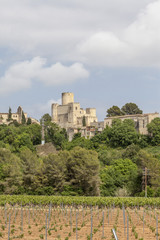 Fototapeta na wymiar Village view, Castle and vineyard landscape, Castellet, Castellet i la Gornal,Penedes region,Catalonia.
