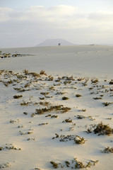Corralejo Dunes Natural Park in Fuerteventura.