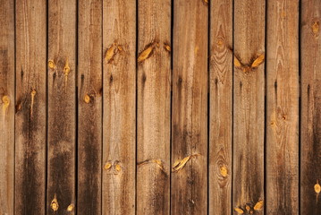 Wooden wall background design. Old weathered brown wood wall.
