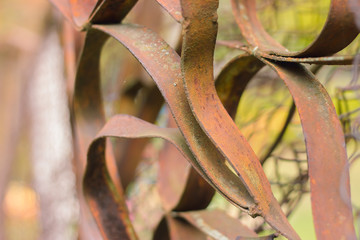 Old rusty forged fence, close up