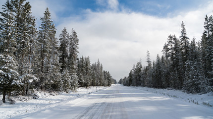 Fototapeta na wymiar Iced Two Lane Asphalt Road Leads Through Forest Wintertime