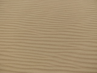 Fototapeta na wymiar waves in dune sands