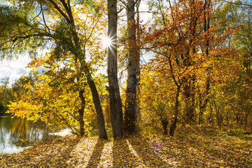 Beautiful autumn landscape - View from the river bank of the Siverskyi Donets, north-east of Ukraine
