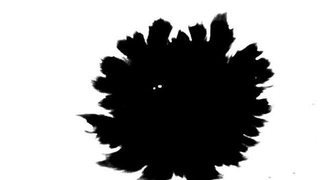 Ink drops on white Ink Bleed Bloom Black expanding