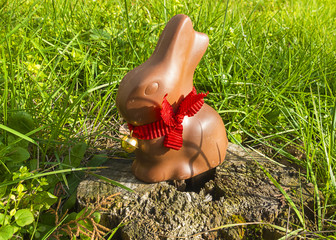coniglio di cioccolata Pasquale sul prato verde banner