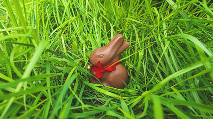 coniglio di cioccolata Pasquale sul prato verde banner