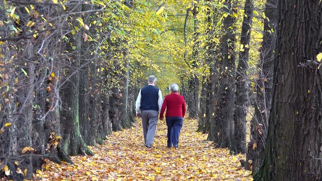 Old happy couple hand in hand on autumn alley, ever lasting love, romantic
