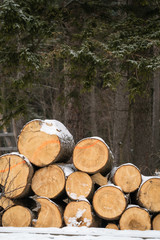 A pile of large wooden logs in the snow