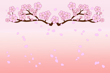 Full bloom cherry blossoms and blowing/flying petals on gradient old-rose colored background. Beautiful pink Sakura flowers on brown branches. Use as greeting or invitation card. Vector illustration.