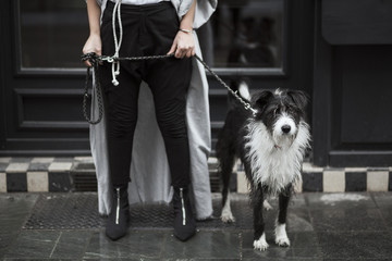 It???????s a black and white world