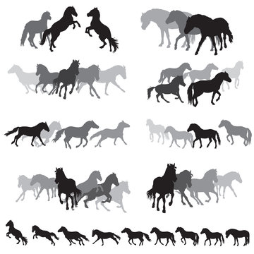 Groups of isolated horses silhouettes-3