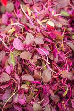 red amaranth greens