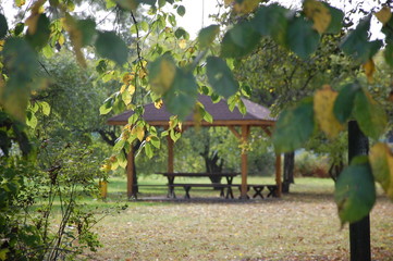 Fototapeta premium Park Pałac Paca Augustów