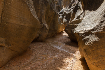 Willis Creek Slot Canyon 30