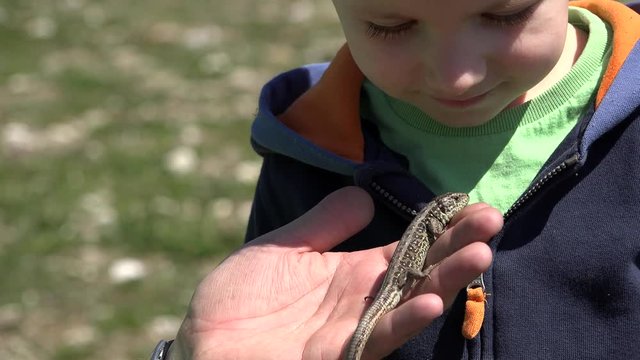 Sweet little child portrait looking close to lizard animal from father hand