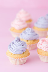 Cupcakes with tender violet and pink buttercream standing on pastel pink background.