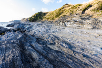 城ヶ島の岩場　Rugged coast
