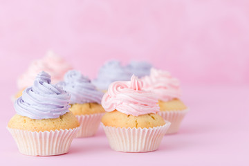 Cupcakes with violet and pink buttercream standing on pastel pink background.