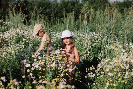 Adorable girl and boy walking by camomile meadow and picking flowers