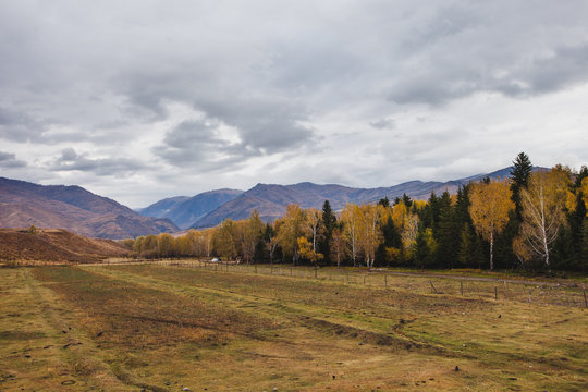 Baihaba village, XInjiang