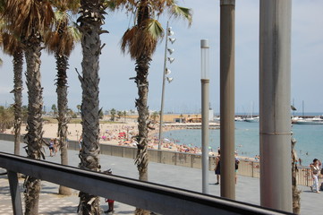 Hiszpania Barcelona Ulice © Piotr