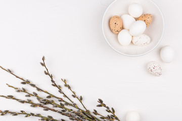 Stylish background with white and brown eggs in bowl, and goat willow branches with space for text. Isolated on white background. Flat lay. Easter concept.