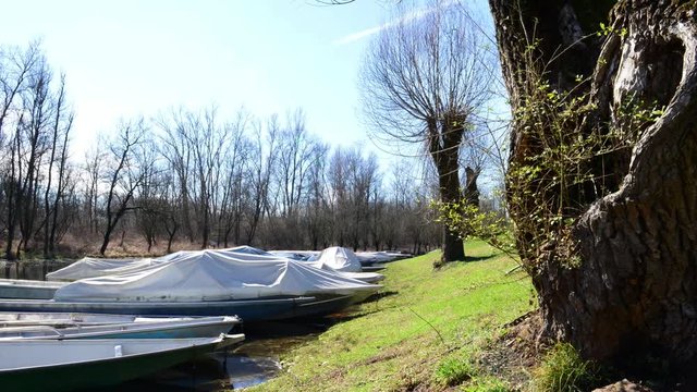 tipiche barche da fiume attraccate alla riva con lucertole che escono al primo tepore del sole