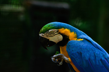 Parque Nacional de foz do iguaçu