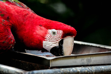 Parque Nacional de foz do iguaçu