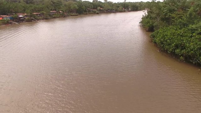 Estado Par&aacute;- FielBee