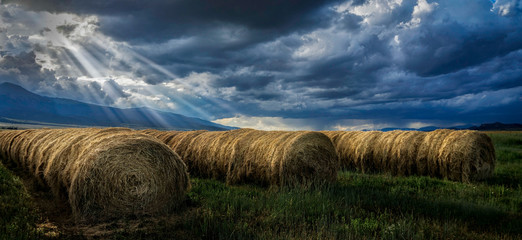 Light Breaks over the Hay
