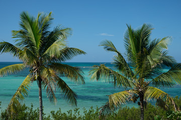 Fototapeta na wymiar Looking at Bahia Honda through two Coconut trees