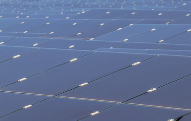 Close up array of  thin film solar cells or amorphous silicon solar cells or photovoltaics in solar...