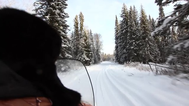 Snowmobile is off-road in the taiga