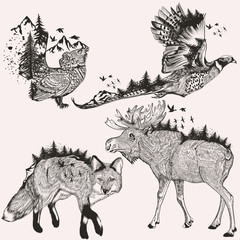 Artistic collection of hand drawn animals