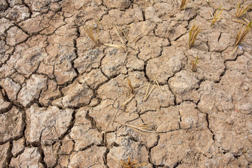 Broken ground image, drought.