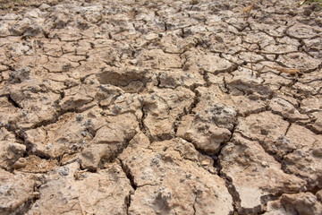 Broken ground image, drought.