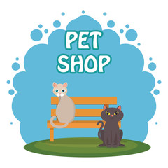 cute cats in the park scene