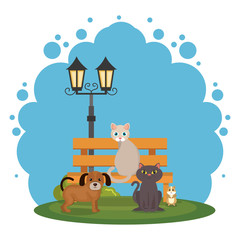 Fototapeta premium cute mascots pet shop icons