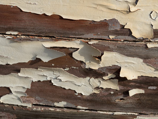 Wood with peeling paint